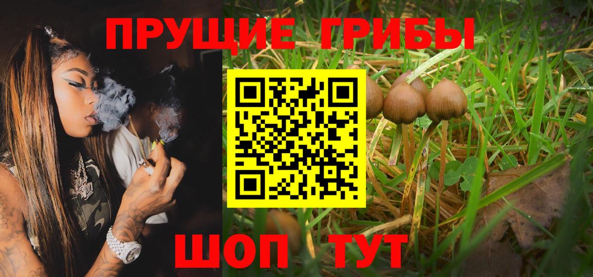 Кизляр  Псилоцибиновые грибы Psilocybe  Галлюциногенные грибы ЛСД  Вход с VPN 