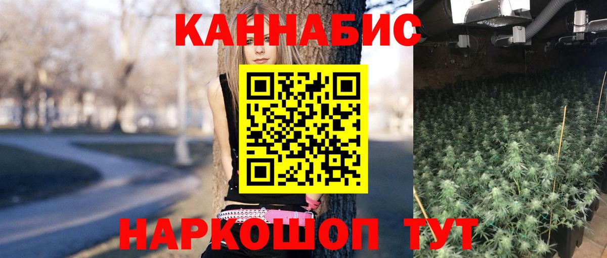 Каннабис план  Бошки марихуана ГИДРОПОН  Вход с VPN  Кизляр 